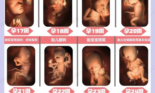 乙肝患者可以吃茄子吗-被诈骗报案材料怎么写样本-人体结构几何体速写,中国狗嵴藤的功效网站